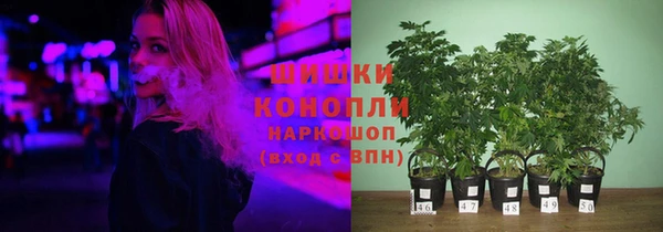 шишки Балахна