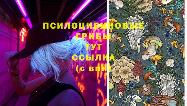 шишки Балахна