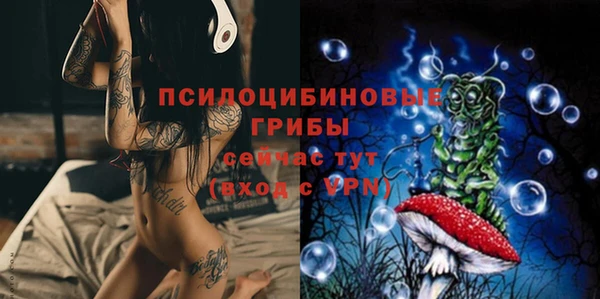 apvp Балабаново
