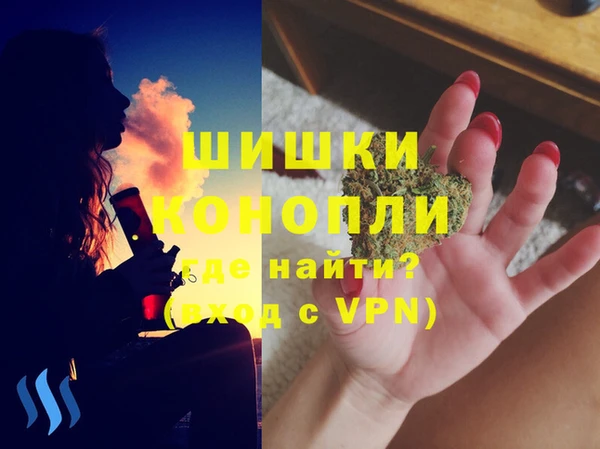 шишки Балахна