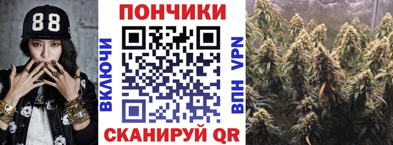 Каннабис индика  закладка  Чаплыгин 